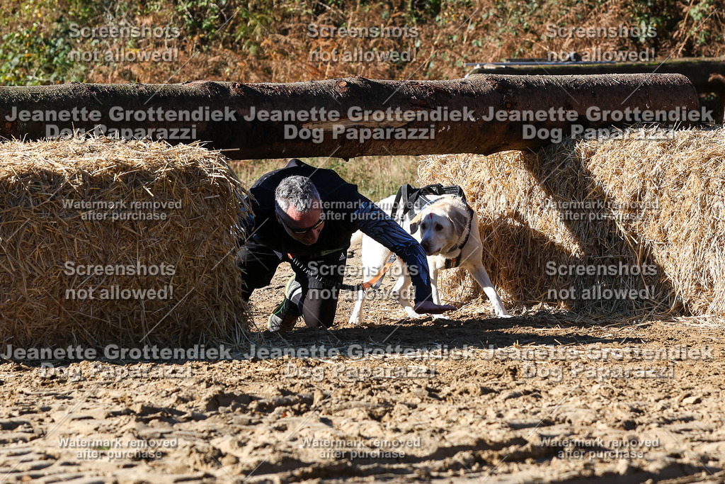 Dog Paparazzi - Strongdog 10-25-2432 | Dog Paparazzi Jeanette Grottendiek Fotografie & Videografie - Realisiert mit Pictrs.com