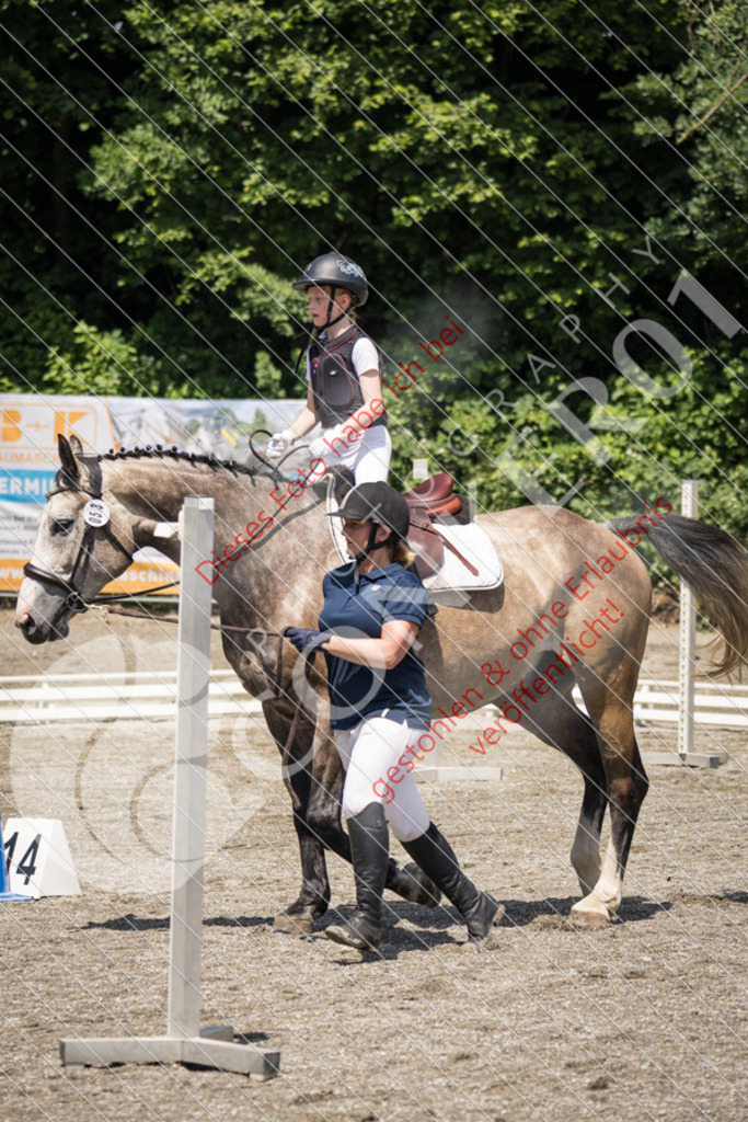 IMG_3485 | Sport-, Event- und Tierfotos in Profiqualität. Einfach auswählen, bestellen und herunterladen. Dein Moment – perfekt festgehalten.