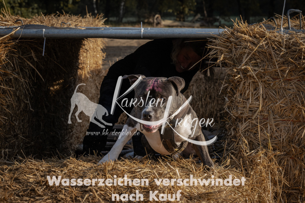 0957_ZZ95728 | kk-dogfotos