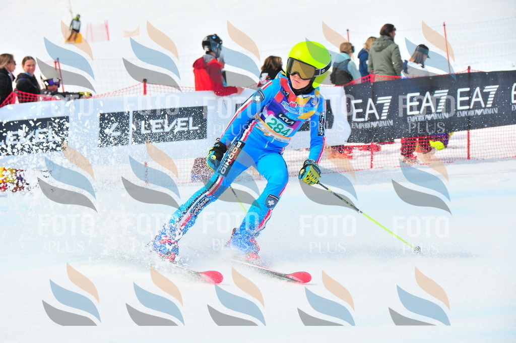 DSC_2649 | holidayphoto