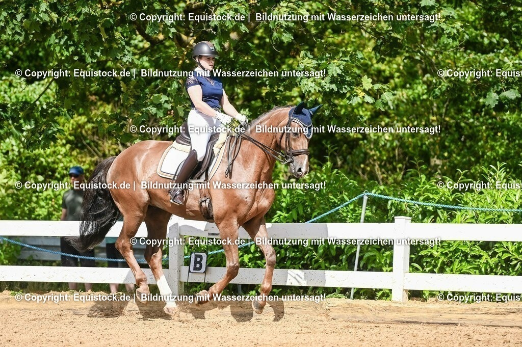 20230716_01_Dressurprüfung Kl.M_0374 | equistock