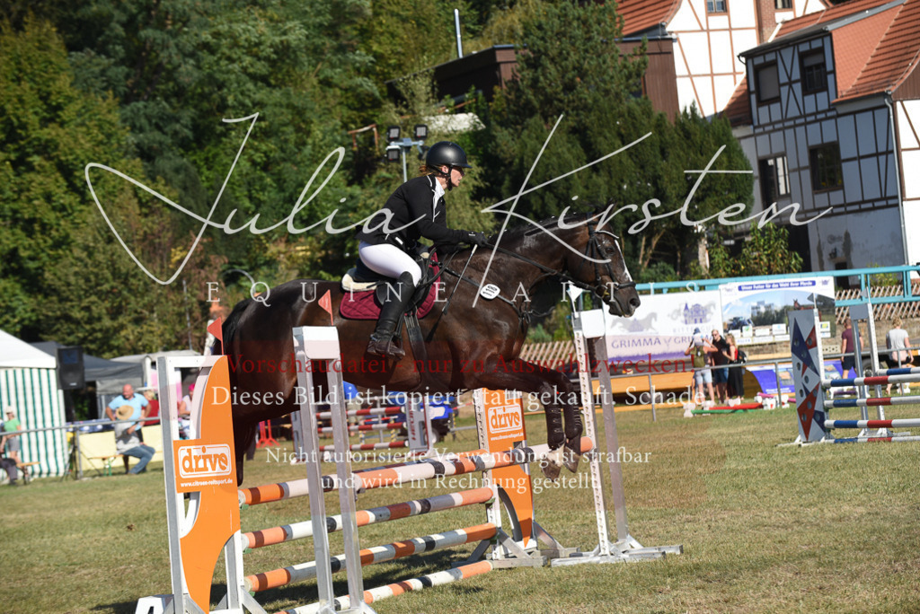 DSC_5380 | Pferde- und Turnierfotografie in Westsachsen. Pferdeportraits, Auftragszeichnungen und intuitive Kunst.