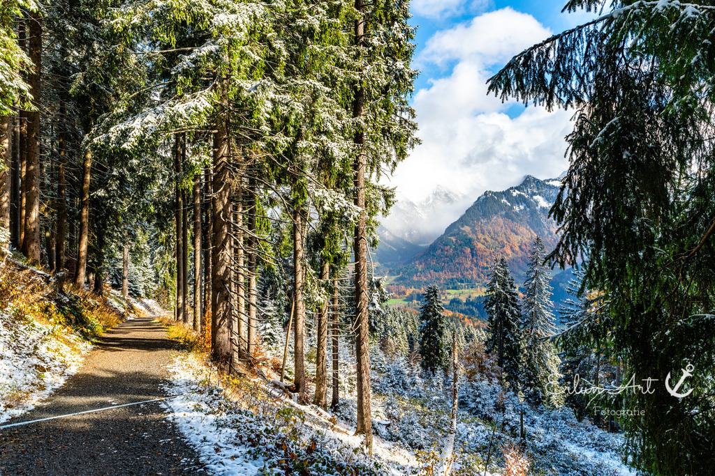 20251024-EAF_6428 | Eilun-Art-Fotografie Levke Martens, ihre Fotografin für Immobilien- und Landschaftsfotografie auf Föhr, Föhrer Motive als Poster, Leinwand, hinter Acrylglas oder stelle dir deinen eigenen Monatskalender zusammen, mit nur einem Klick