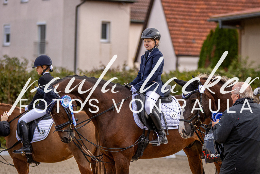 IMG_3510 | Erleben Sie dynamische Sport- und emotionale Tierfotografie in Süddeutschland mit Fotos von Paula. Spezialisiert auf Pferde- und Hundefotografie sowie Sportevents. Kontaktieren Sie mich für einzigartige und ausdrucksstarke Bilder Ihrer besonderen Momente.