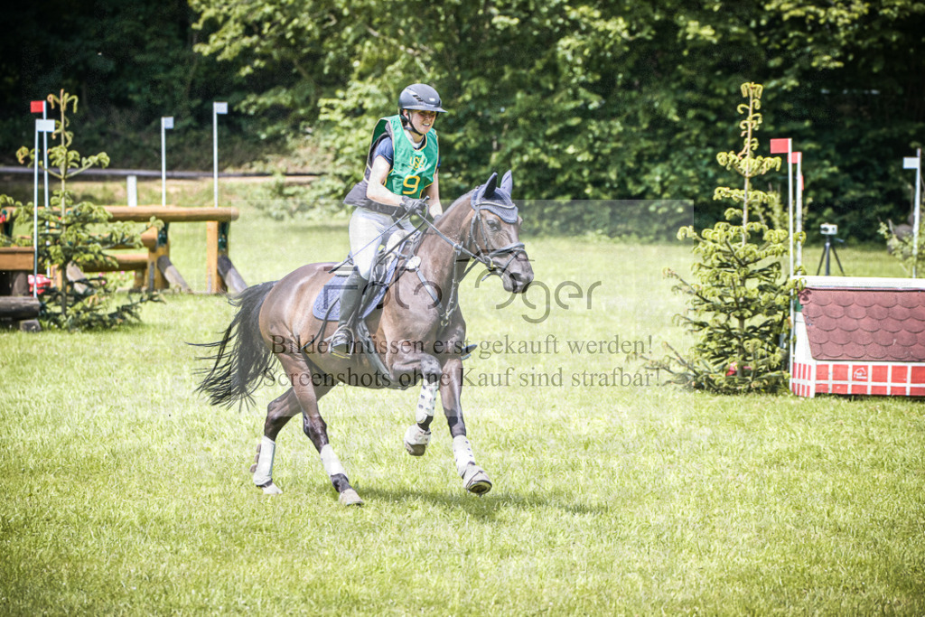 DOS_7000 | Entdecke hochwertige Reitturnierfotos von Foto Oger. Professionell, emotional und authentisch – jetzt Lieblingsmomente im Shop bestellen. - Realisiert mit Pictrs.com