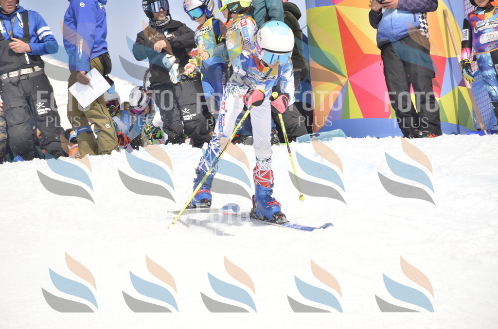 _ELE9049 | holidayphoto