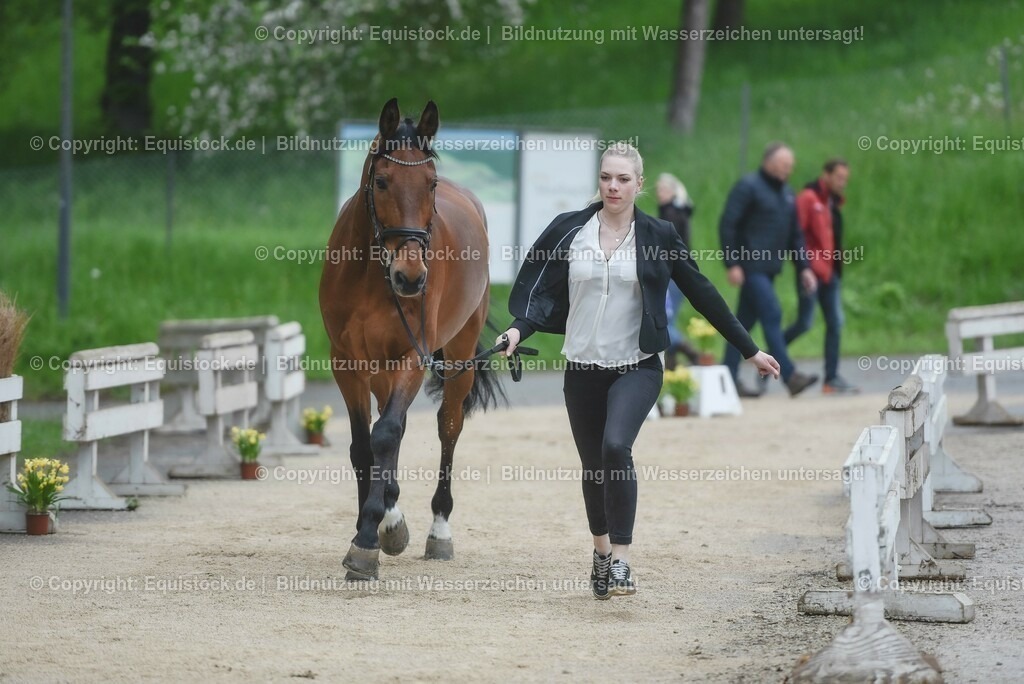 20230514_Impressionen_0118 | equistock