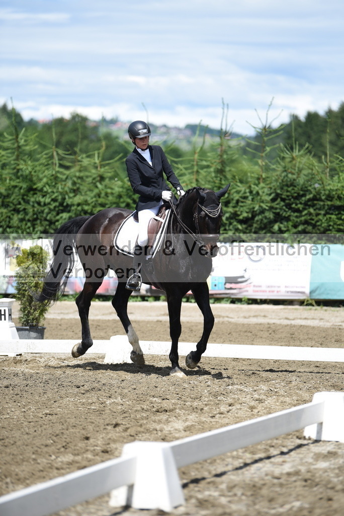 DSC_1168 | equestrian-live-com