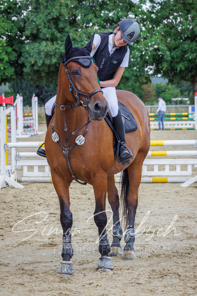 20260705-_3LI4782 | Tierfotografie Pferde, Hunde, Katzen, Haustiere.
Turnierfotografie Reitturniere, Reiten, Springreiten, Dressur in Hanau, dem Main-Kinzig-Kreis und dem Rhein-Main- Gebiet um Frankfurt