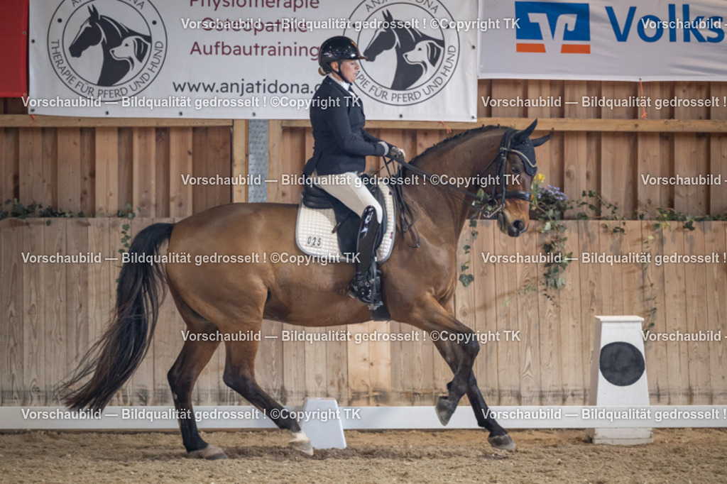 _D5A1700 | Emotionale Pferde- & People-Fotografie rund um Heidelberg, Leimen & Umgebung. Natürliche Fotos von Pferd, Mensch & Familie. Jetzt Termin sichern!