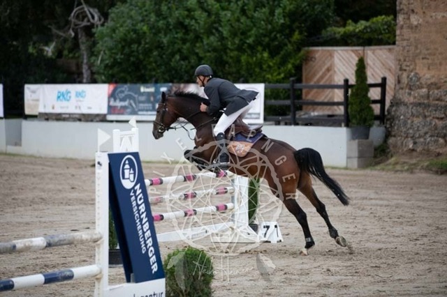 2B4A1798 | pixelfaenger - Realisiert mit Pictrs.com