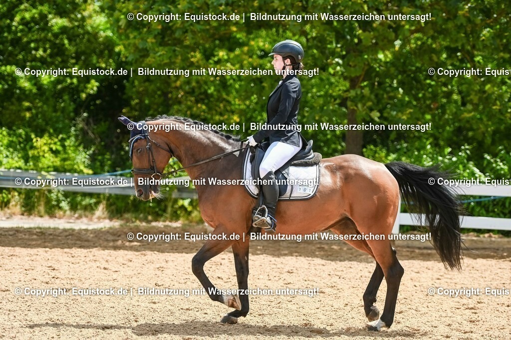 20230715_09_Dressur-WB_0450 | equistock