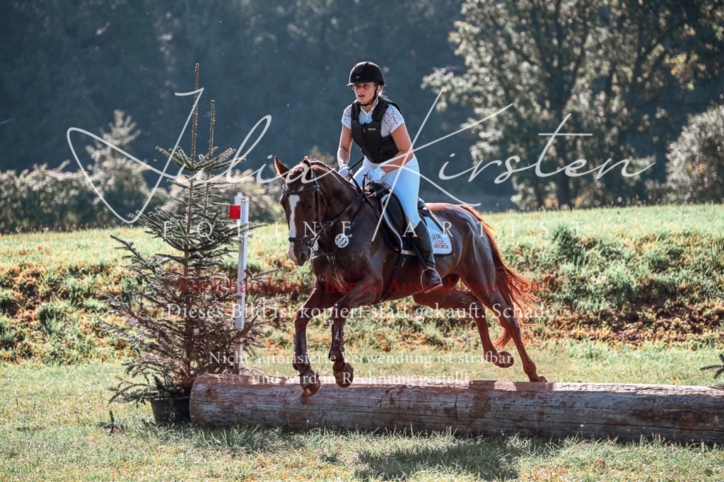 DSC_0751 | Pferde- und Turnierfotografie in Westsachsen. Pferdeportraits, Auftragszeichnungen und intuitive Kunst.