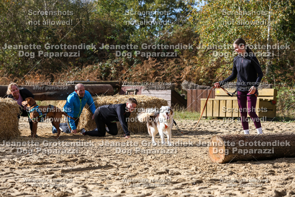 Dog Paparazzi - Strongdog 10-25-5647 | Dog Paparazzi Jeanette Grottendiek Fotografie & Videografie - Realisiert mit Pictrs.com