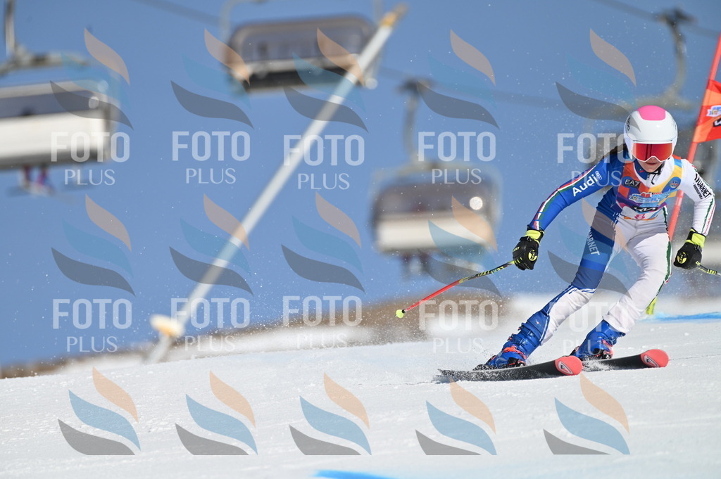 BGV_7707 | holidayphoto