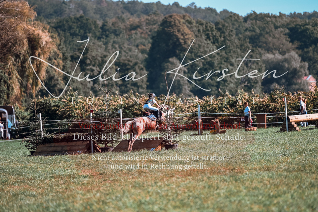 DSC_0706 | Pferde- und Turnierfotografie in Westsachsen. Pferdeportraits, Auftragszeichnungen und intuitive Kunst.