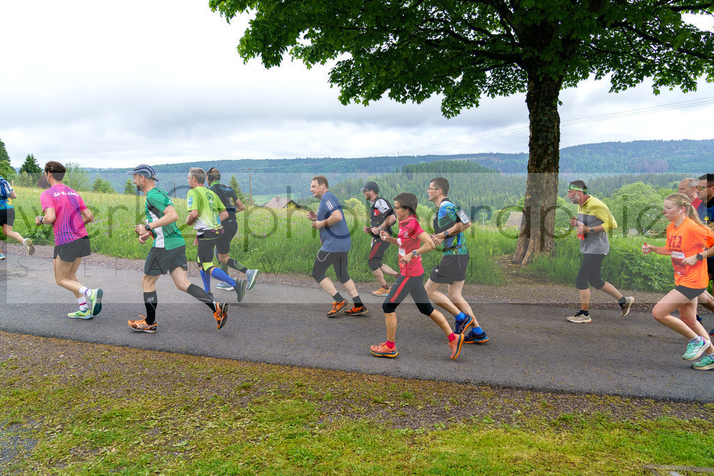 Rennsteiglauf Marathon 2024 | 25. Mai 2024 - 42,2 km von Neuhaus nach Schmiedefeld