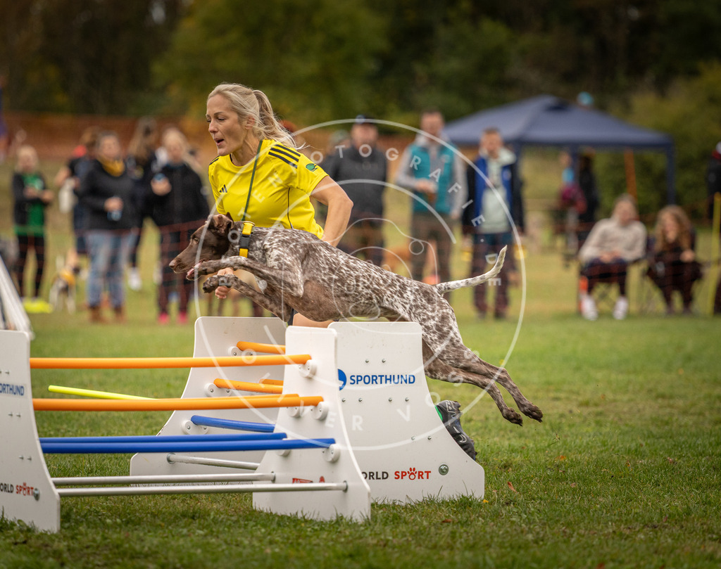 Pfotenfotografie_DV3A6842 | Hundefotografie, Tierfotograf, Pfotenfotografie, Fotoshooting Hund, Hunde Portrait, Hundesport, Hundeportraits, Heideshooting, Hunde, Sportfotograf, Hundefotograf, Turnierhundsport, THS,  - Realisiert mit Pictrs.com