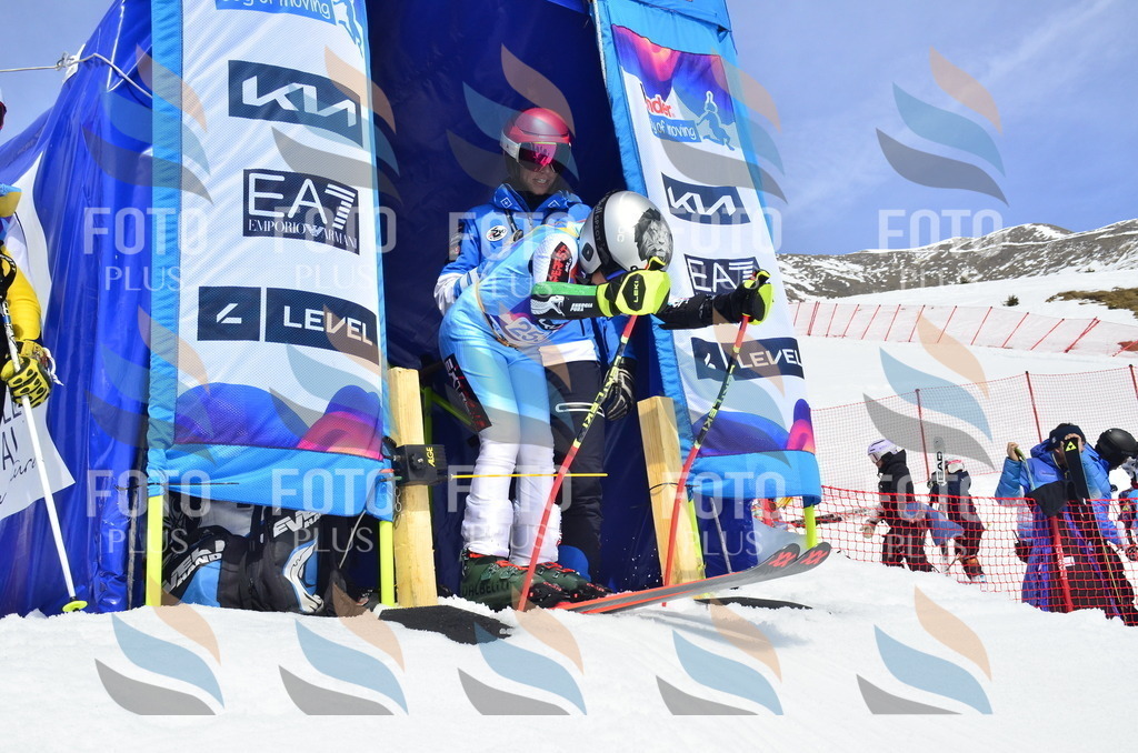 _ELE1858 | holidayphoto