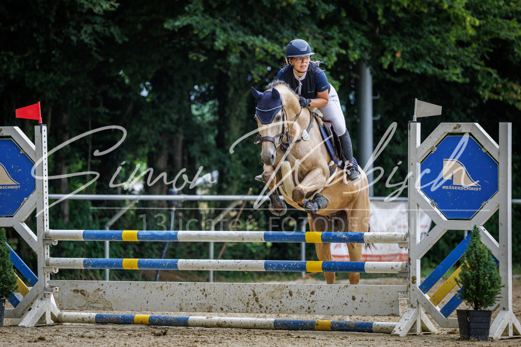 20260705-_3LI4952 | Tierfotografie Pferde, Hunde, Katzen, Haustiere.
Turnierfotografie Reitturniere, Reiten, Springreiten, Dressur in Hanau, dem Main-Kinzig-Kreis und dem Rhein-Main- Gebiet um Frankfurt
