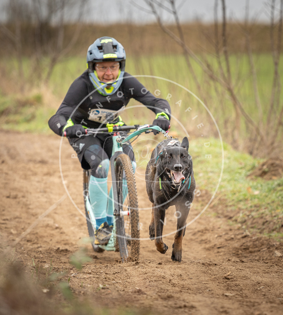 DV3A1347 | Hundefotografie, Tierfotograf, Pfotenfotografie, Fotoshooting Hund, Hunde Portrait, Hundesport, Hundeportraits, Heideshooting, Hunde, Sportfotograf, Hundefotograf, Turnierhundsport, THS,  - Realisiert mit Pictrs.com