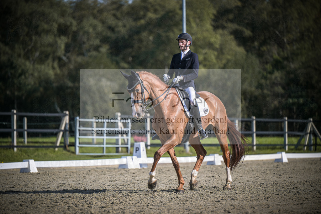 DOS_3449 | Entdecke hochwertige Reitturnierfotos von Foto Oger. Professionell, emotional und authentisch – jetzt Lieblingsmomente im Shop bestellen.Deutschlandweite Turnierfotografie. - Realisiert mit Pictrs.com