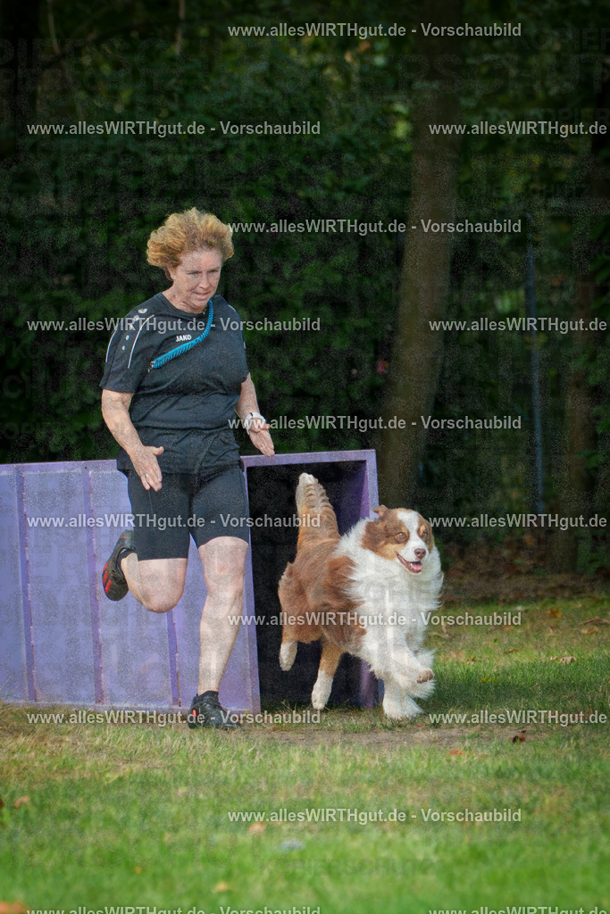 THS_Turnier_27-09-2026-allesWIRTHgut_Tierfotografie-7R507244 | Professionelle Tierfotografie in Mönchengladbach von Daniel Wirth (allesWIRTHgut). Liebevolle & natürliche Bilder von Hunden & Katzen für unvergessliche Erinnerungen.