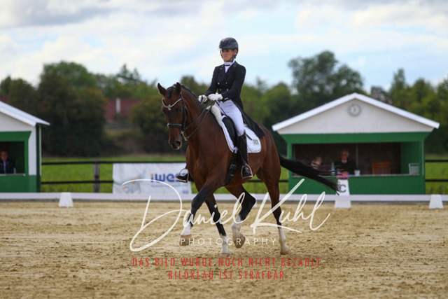 DKP44634 | Turniersportfotografie; Pferdefotografie; Dressurfotografie