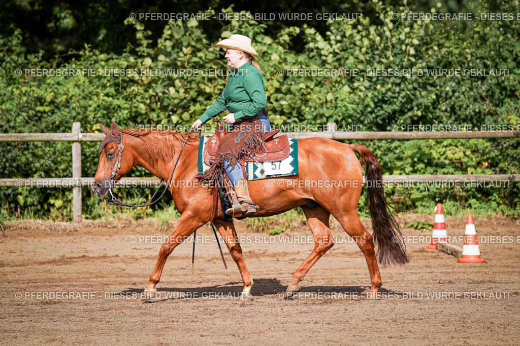 DSC00133 | Pferdegrafie