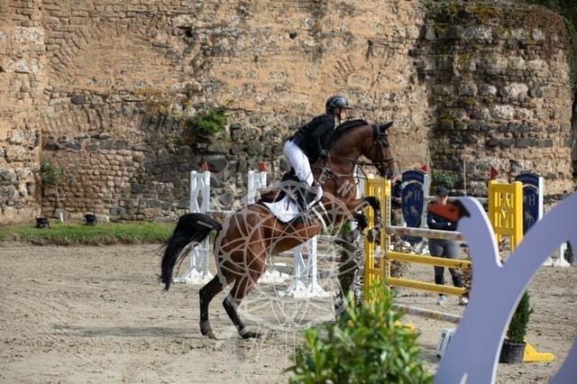 2B4A3578 | pixelfaenger - Realisiert mit Pictrs.com