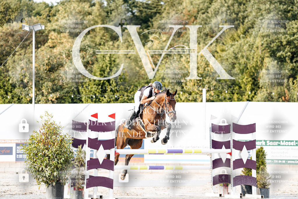 CK903418 | Turnierfotografie Pferdefotografie Trier Rheinland-Pfalz Pferdesport Reitsport Tierfotografie Sportfotografie Pferdevideo Pferdevideografie Equestrianvideography equestrianphotography  - Realisiert mit Pictrs.com