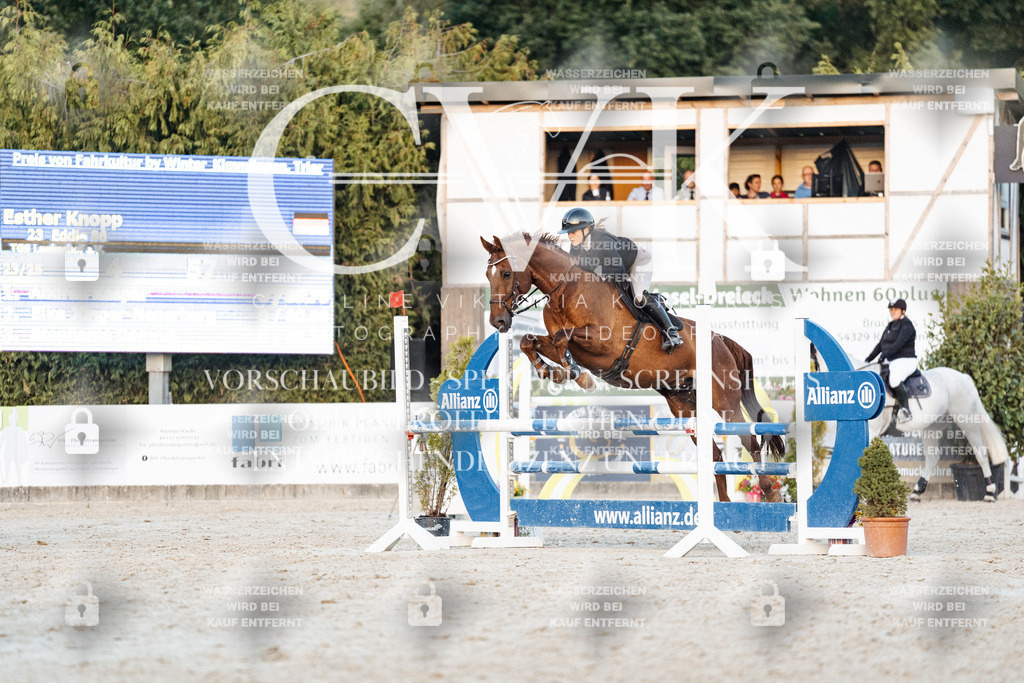 CK901490 | Turnierfotografie Pferdefotografie Trier Rheinland-Pfalz Pferdesport Reitsport Tierfotografie Sportfotografie Pferdevideo Pferdevideografie Equestrianvideography equestrianphotography  - Realisiert mit Pictrs.com