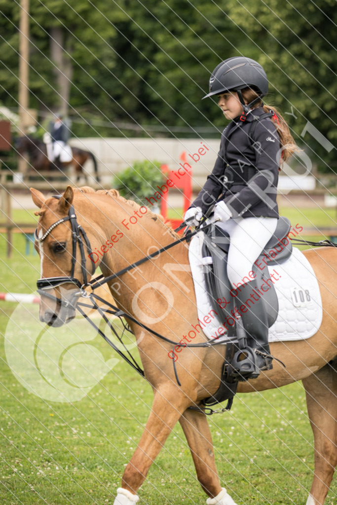 IMG_1626 | Sport-, Event- und Tierfotos in Profiqualität. Einfach auswählen, bestellen und herunterladen. Dein Moment – perfekt festgehalten.