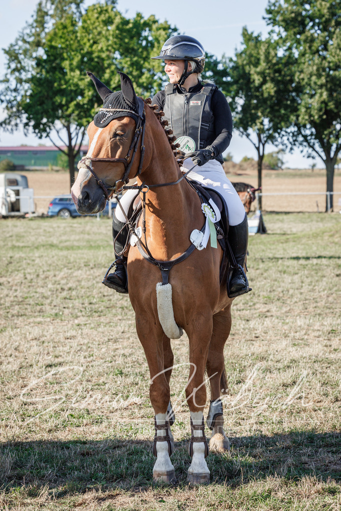 20260905-_3LI0874 | Tierfotografie Pferde, Hunde, Katzen, Haustiere.
Turnierfotografie Reitturniere, Reiten, Springreiten, Dressur in Hanau, dem Main-Kinzig-Kreis und dem Rhein-Main- Gebiet um Frankfurt