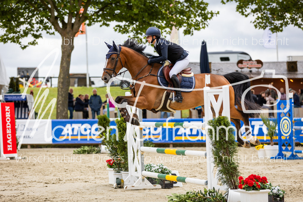 BHO-2PhSpr-M-5-2414 | MomenTaufnahmen Pferdesportfotos