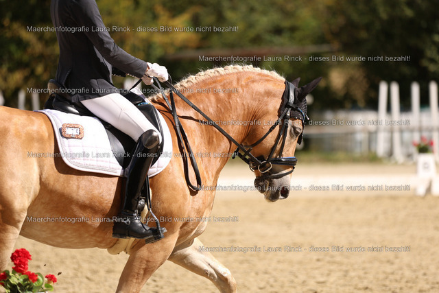 HG9A2841 | laurarinckfotografie - Realisiert mit Pictrs.com