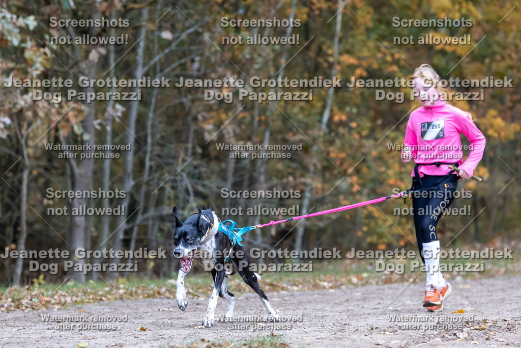Dog Paparazzi - SD CaniX Championship 2025-651 | Dog Paparazzi Jeanette Grottendiek Fotografie & Videografie - Realisiert mit Pictrs.com