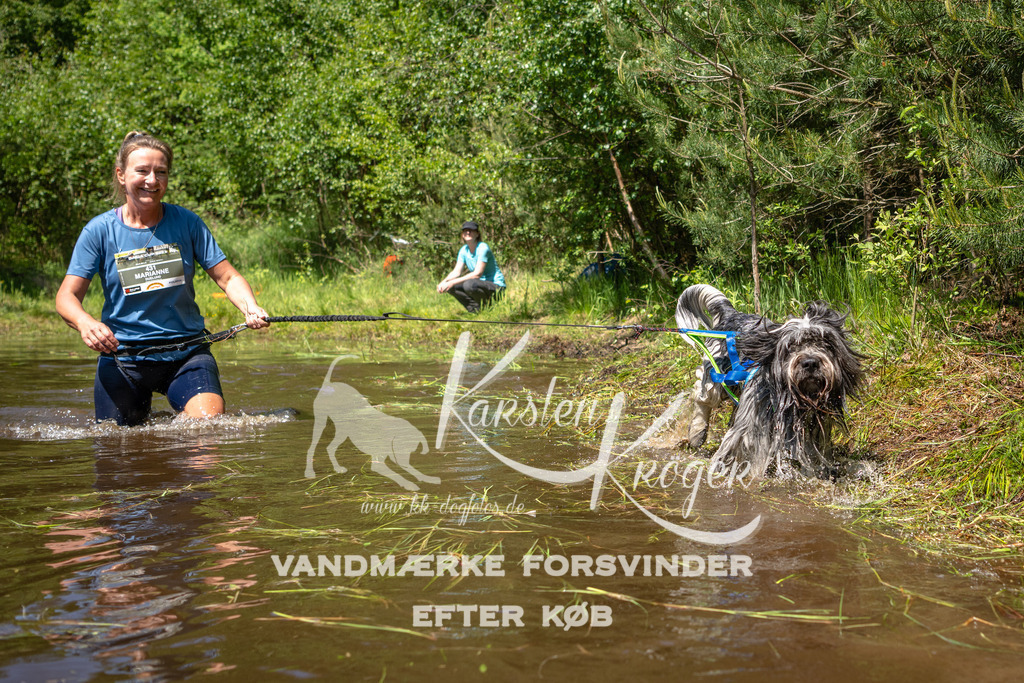 DK K991213141413 | kk-dogfotos