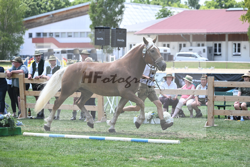 Kat-Nr. 44 Nanni_Probst_20230682 | hf-fotografie - Realisiert mit Pictrs.com