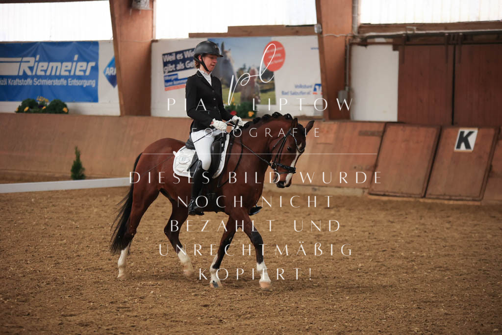 IMGT7105 | pl-fotografie