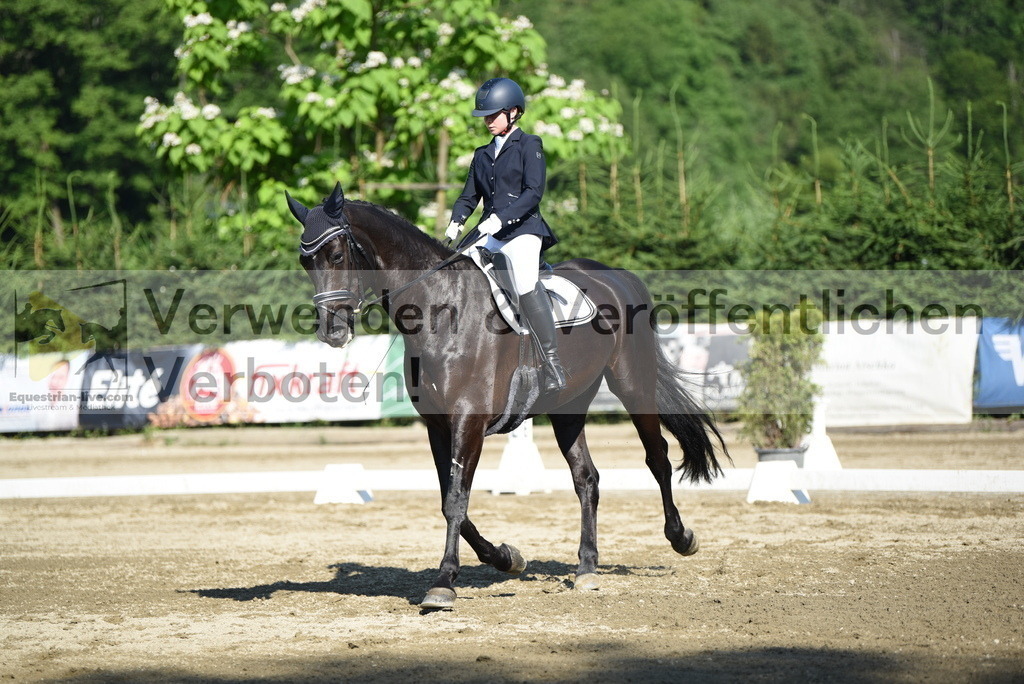 DSC_7255 | equestrian-live-com