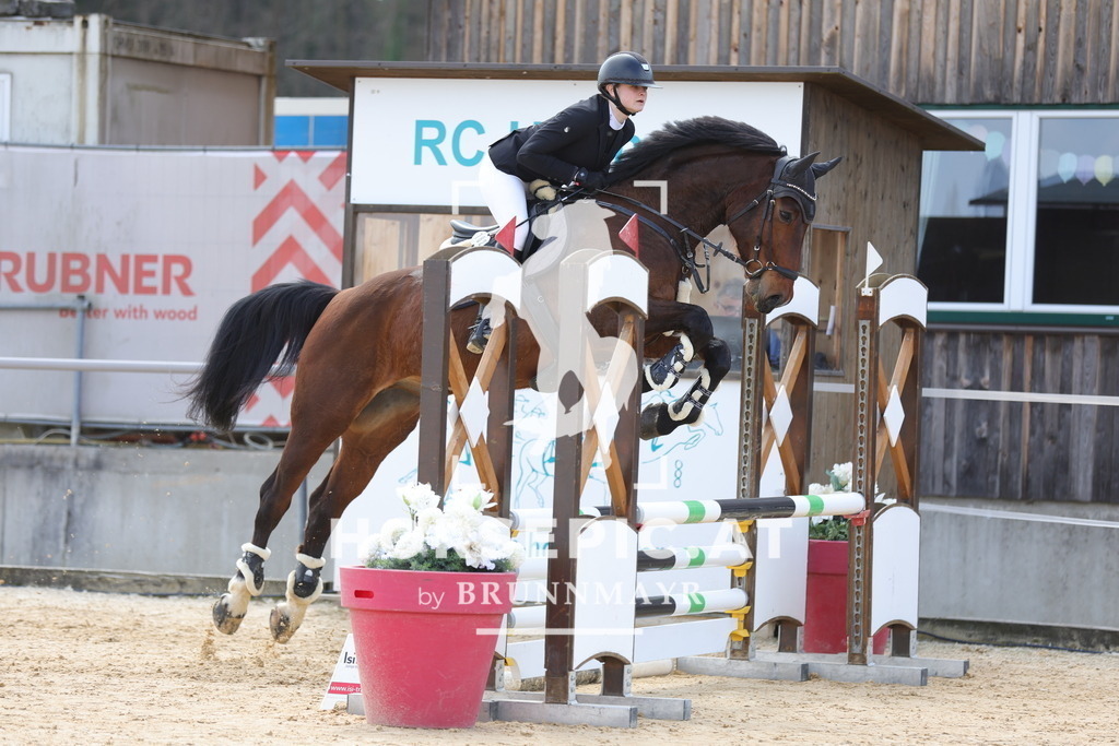 0P6A7452 | Willkommen bei Brunnmayr - Design & Fotografie – Ihrem Spezialisten für Reitturniere und Pferdeveranstaltungen in Oberösterreich, Salzburg und Bayern! Seit über 17 Jahren sind wir leidenschaftlich dabei.