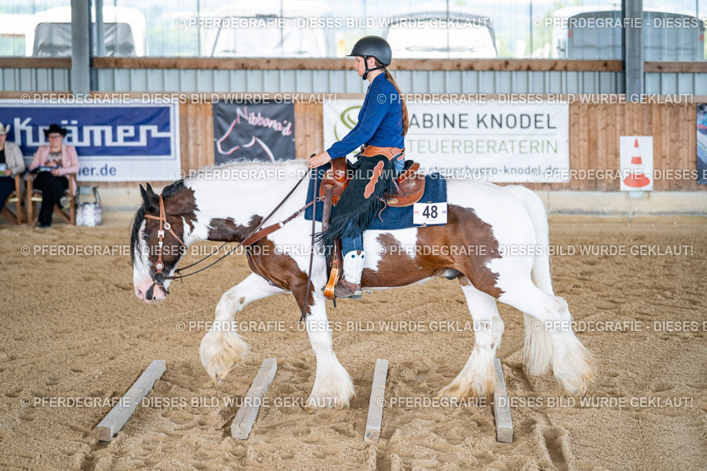 DSC02979 | Pferdegrafie