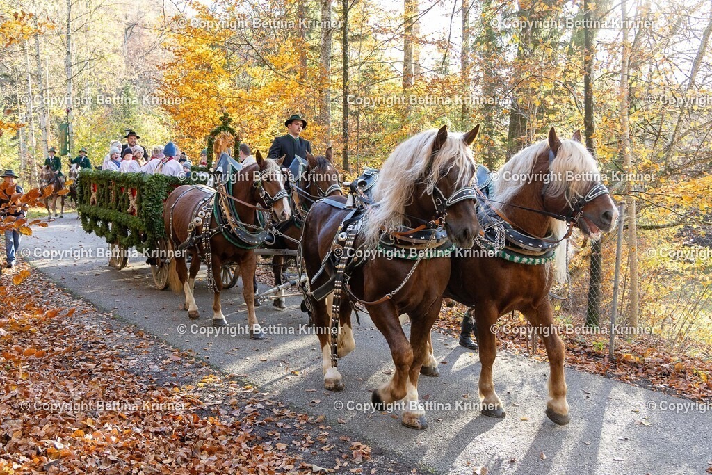 LL24-281 | foto-bettina-krinner - Realisiert mit Pictrs.com