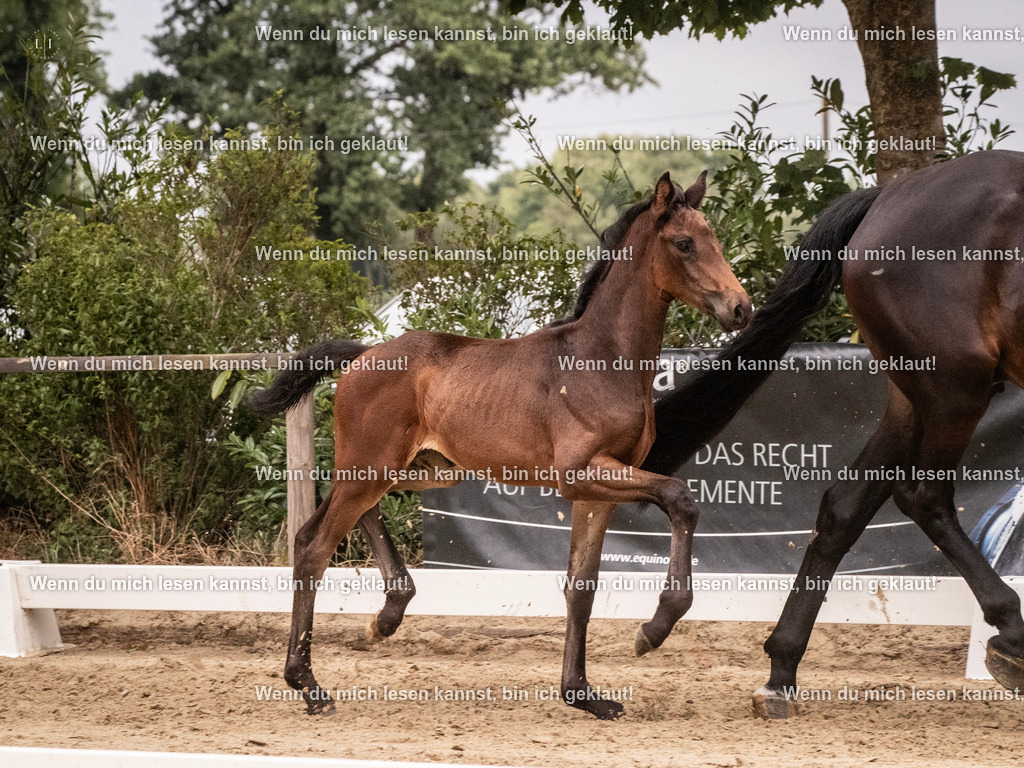 A10I5891 | photographylinaismer - Realisiert mit Pictrs.com