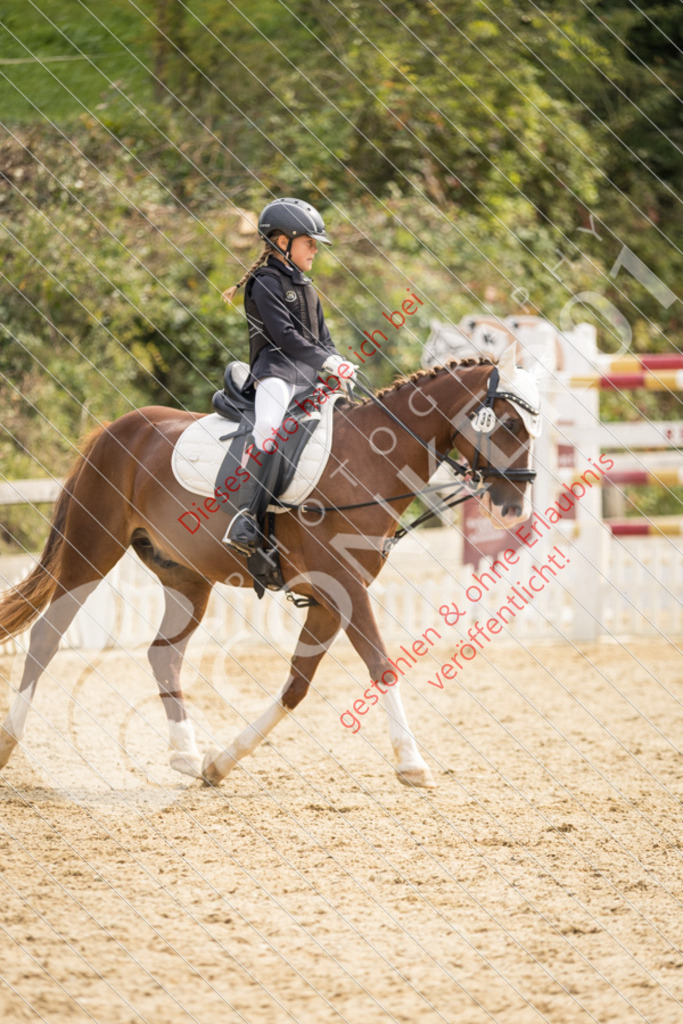 CON_0187 | Sport-, Event- und Tierfotos in Profiqualität. Einfach auswählen, bestellen und herunterladen. Dein Moment – perfekt festgehalten.