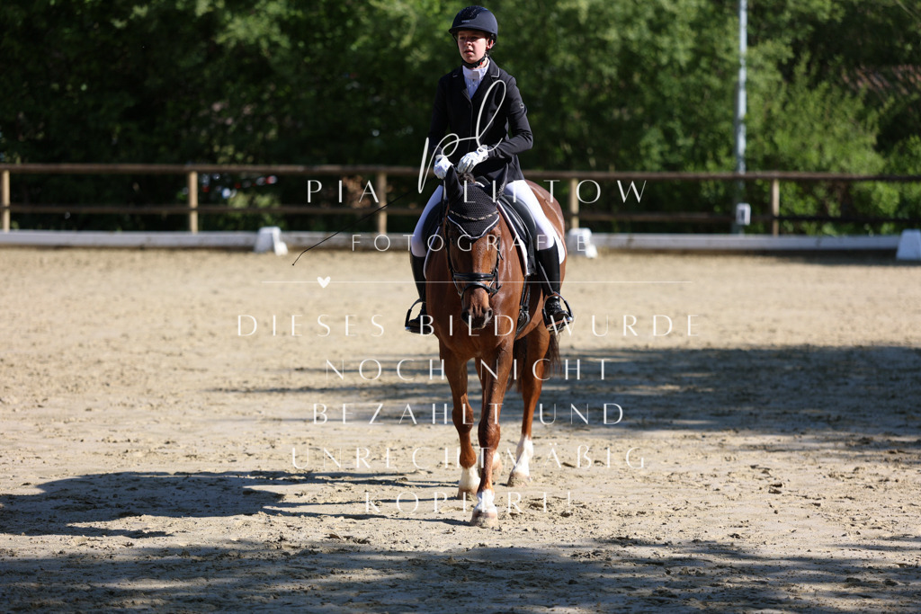 IMGT9782 | pl-fotografie