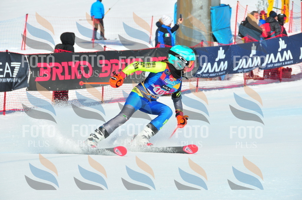 DSC_4597 | holidayphoto