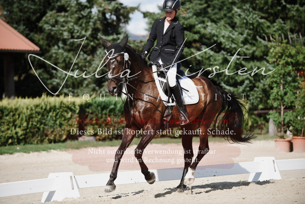 DSC_0100 | Pferde- und Turnierfotografie in Westsachsen. Pferdeportraits, Auftragszeichnungen und intuitive Kunst.