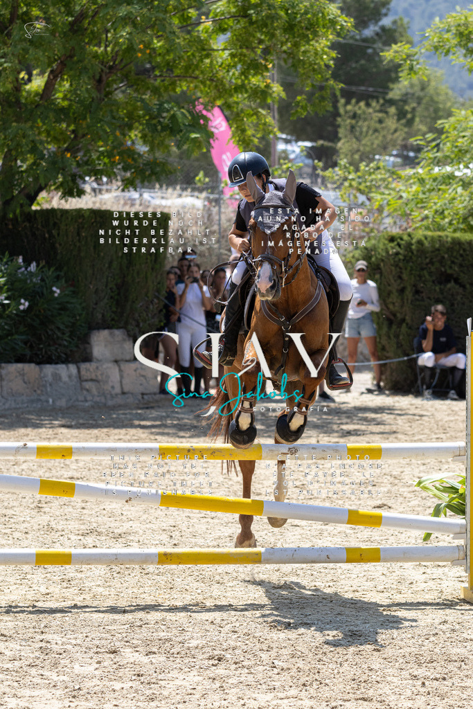 IMG_0628 | s-jay-photography - Realisiert mit Pictrs.com